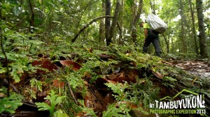 Mount Tambuyukon Expedition  